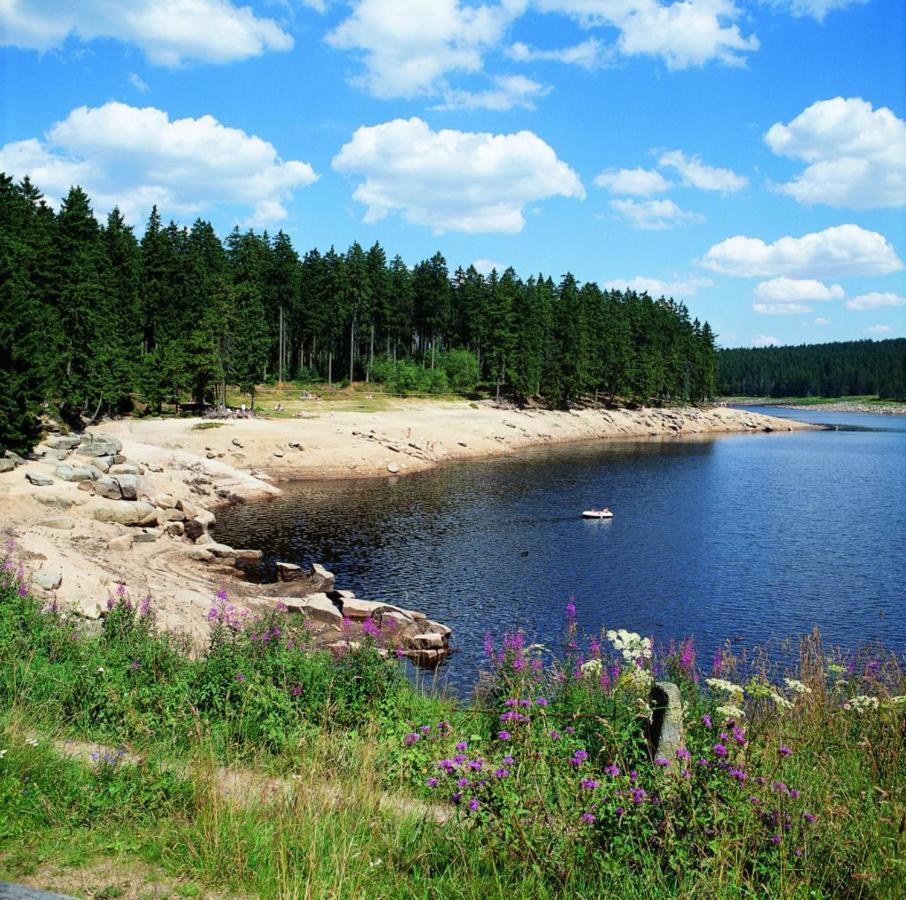 Schoene Ferienwohnung Fuer 6 Personen Erwartet Sie Im Oberharz 圣安德里斯伯格 外观 照片